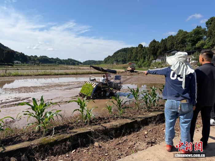 精打细算“一渠水” 四川春灌保障成效显著