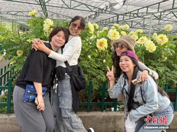 台胞在豫听豫剧、赏牡丹：两岸有共同文化根脉