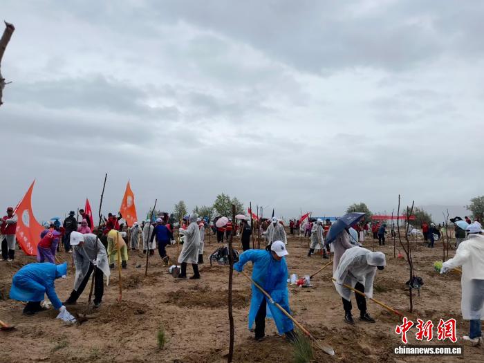青海海南举办“援青林”植树活动：以生态“含绿量” 提升发展“