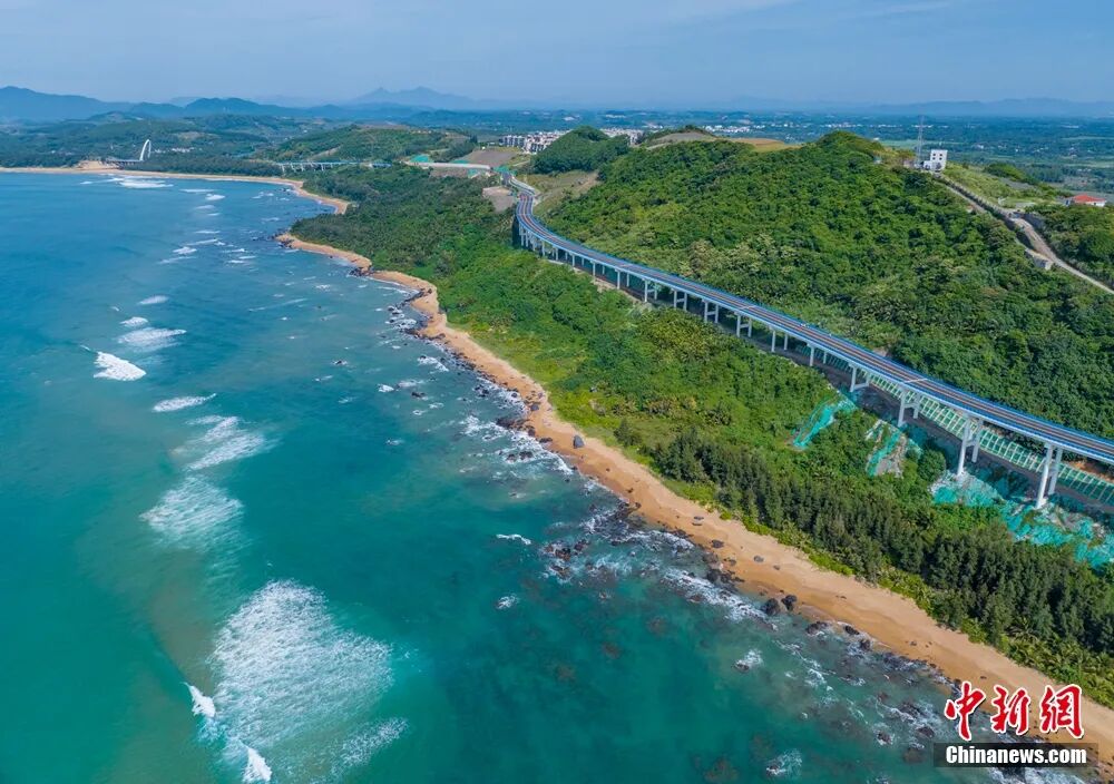 这块神奇的土地，咋还种出了“菠