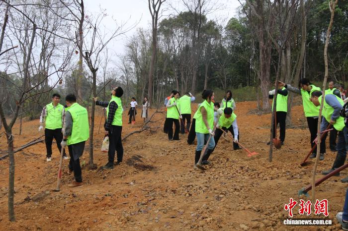 新春新风尚 广东拉开全民义务植树活动序幕