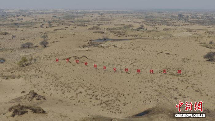 草方格和沙漠驼队 科尔沁沙地上