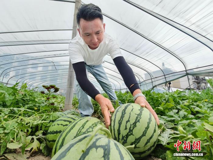 通讯：乡村振兴里的“铁担当”