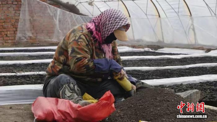 嫩江边的“春耕课堂”：结出“黄