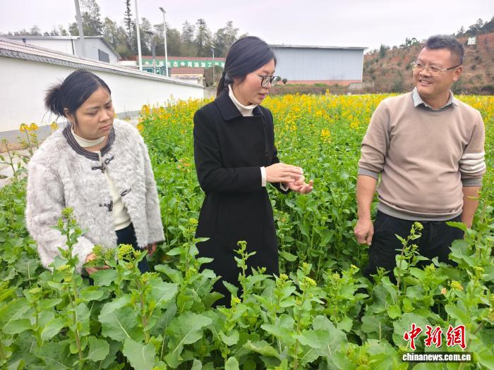 （中国两会）乡土生金引能人回归  “90后”村支书高亚的富民