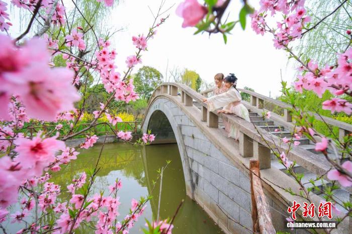沪上首个“花节”再升级 上海桃
