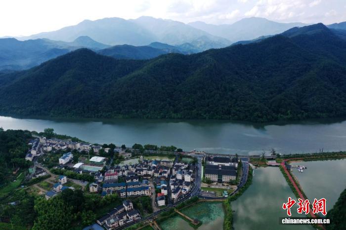 守护“中国绿都”生态底色 福建三明多维创新推动林业高质量发展