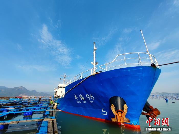 宁德边检护航活水鱼“鲜”达韩国