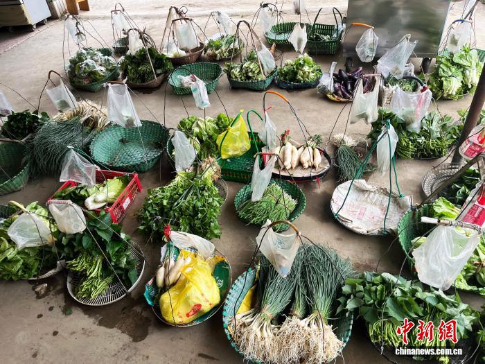 广西南宁“无人菜摊”：2元蔬菜见证“双向信任”