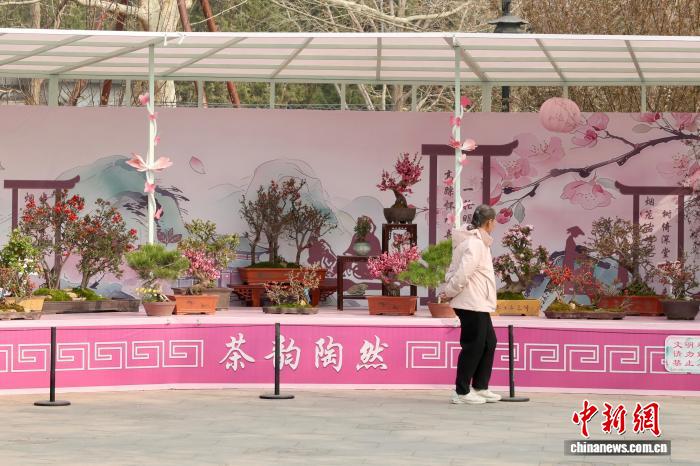 北京陶然亭公园海棠春花文化节将