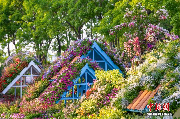 探访武汉都市圈花展：近千种花卉