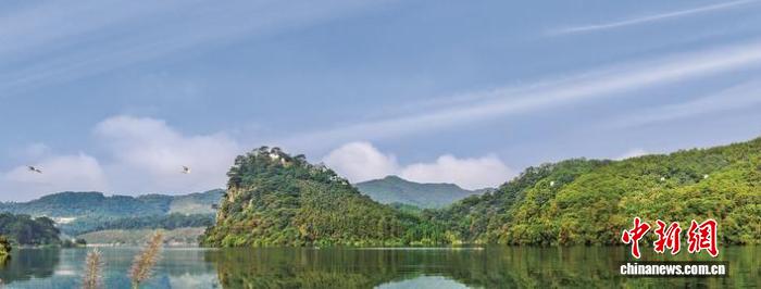 2025年林草“两山”转化榜单发布 福建三明位列五星城市第一