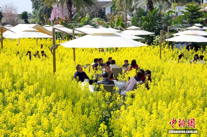 繁花迎客暖意浓 四川春季文旅提