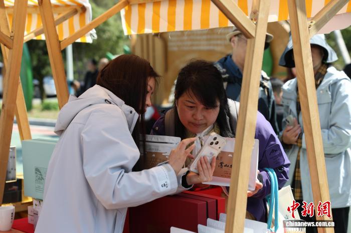 黄山毛峰开园 数字科技为百年名茶“画像”