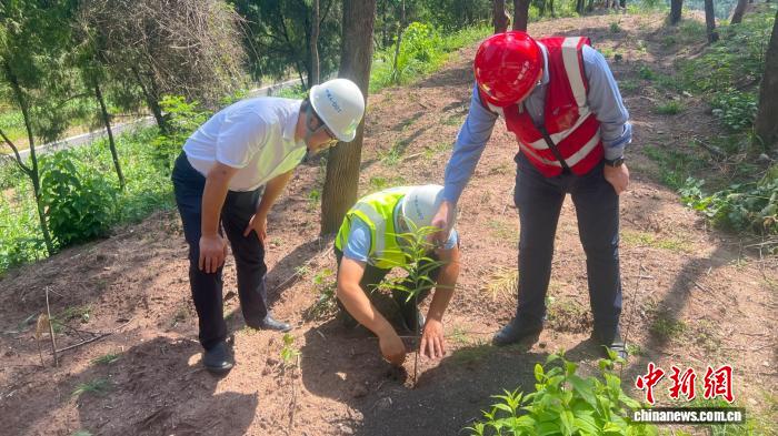 四川嘉陵江畔实施“生态手术” 