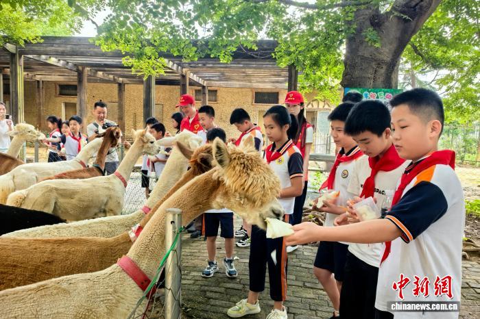 江西南昌持续打造“宝贝出村”公益项目 助力乡村少年成长