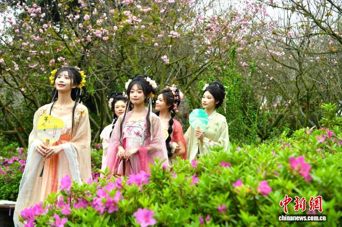 （乡村行·看振兴）十里樱花绽放