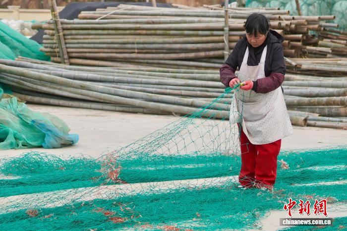 （乡村行·看振兴）“抱团”发展的乡村：探访浙江“片区化共富实