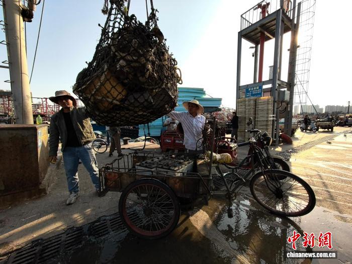 广西北海多举措护航南海伏季休渔 约3000艘船回港