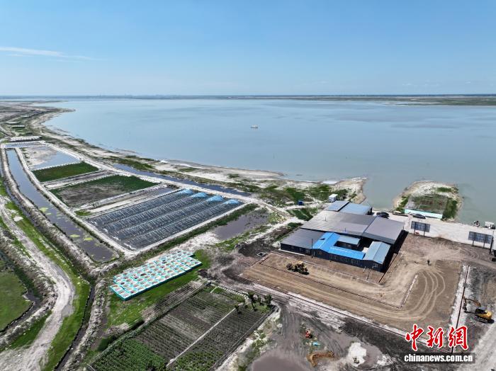 吉林镇赉：错峰小龙虾“游”出湿