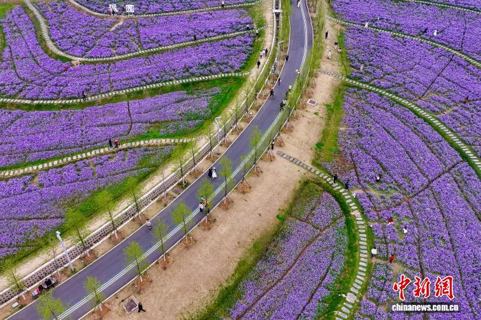 安徽要求全面落实带薪年休假制度 推动职工应休尽休