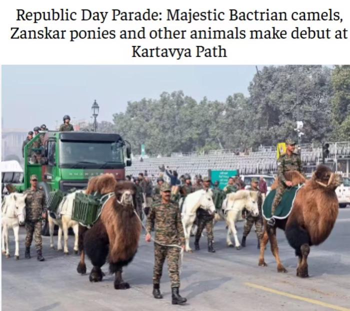 首次！“狗、骆驼和马抢尽风头”，印度阅兵派出动物方队
