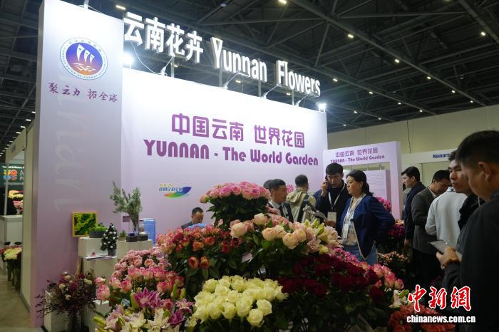 阿斯塔纳鲜花展上的“云南风”