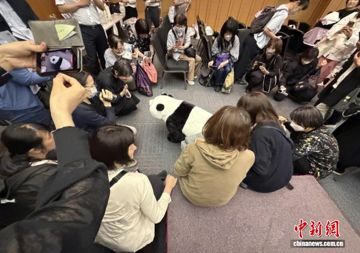 大熊猫“香香”家族生日会在东京举办