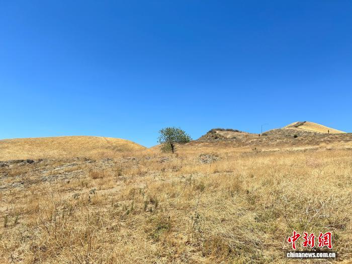 干旱如何影响土壤？116国数据