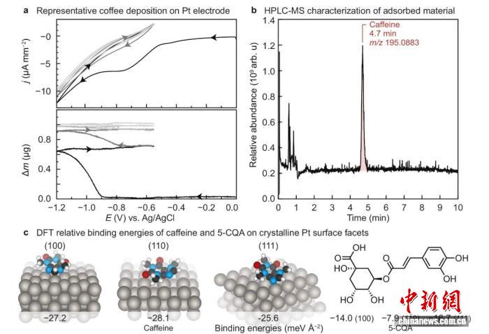 如何快速评估咖啡风味特征？国际研发出简便电化学测试新方法