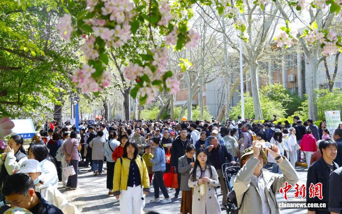 天津大学举行海棠季校园开放日 超十万人共赴春日之约