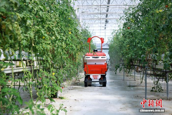 （乡村行·看振兴）浙江桐乡：从“会种地”到“慧种地” 未来农场里的“数字春耕”